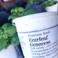 Heirloom Tomato Seedlings